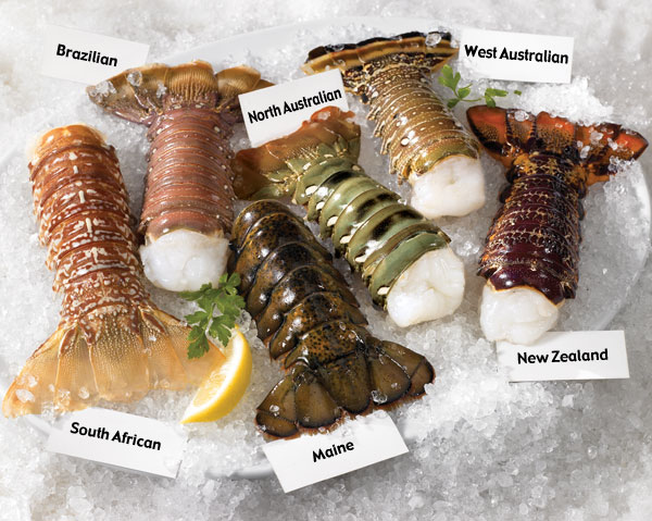 Up Next: Poor Man’s Lobster