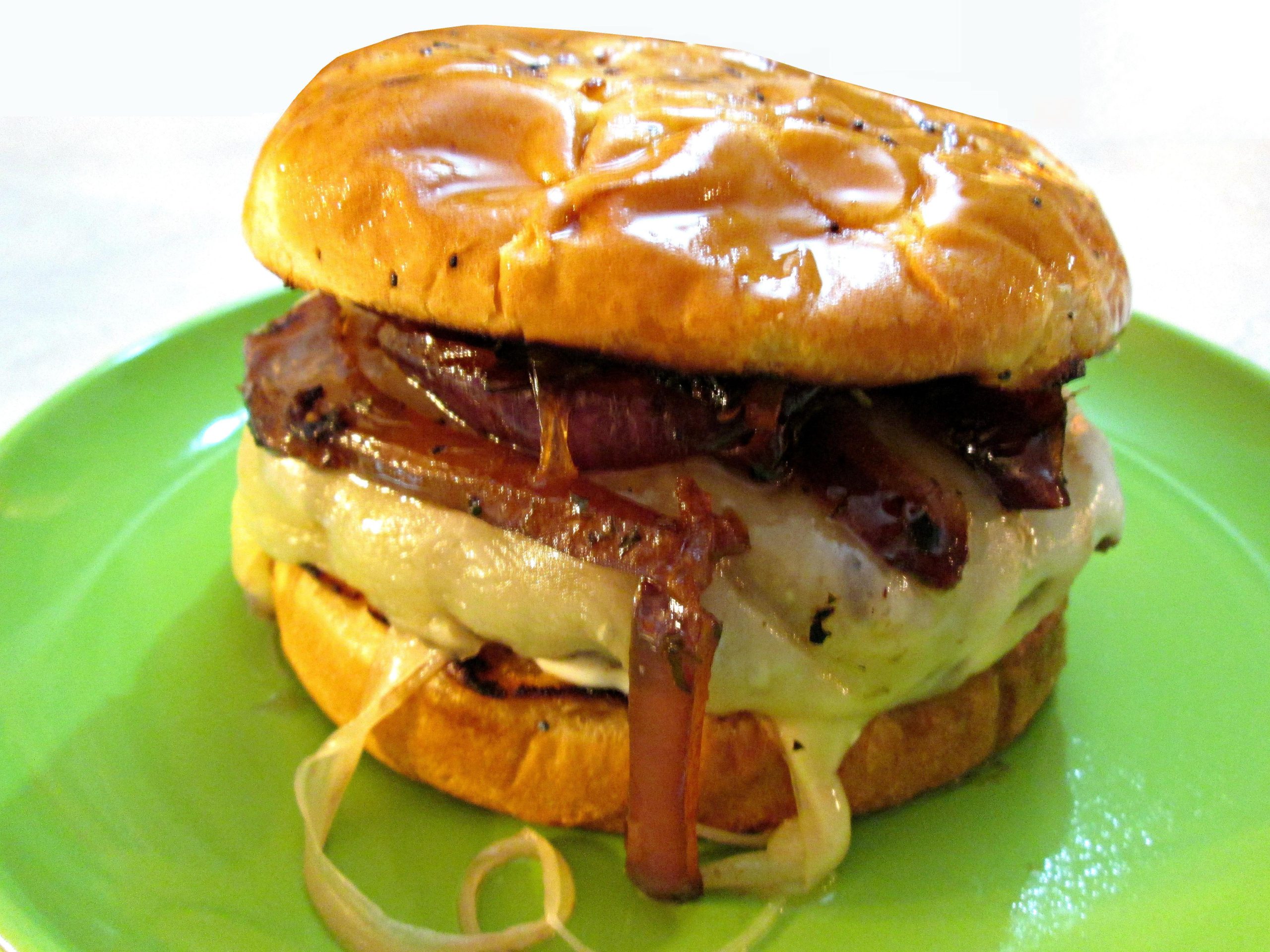 Bison Burger – French Onion Style Recipe