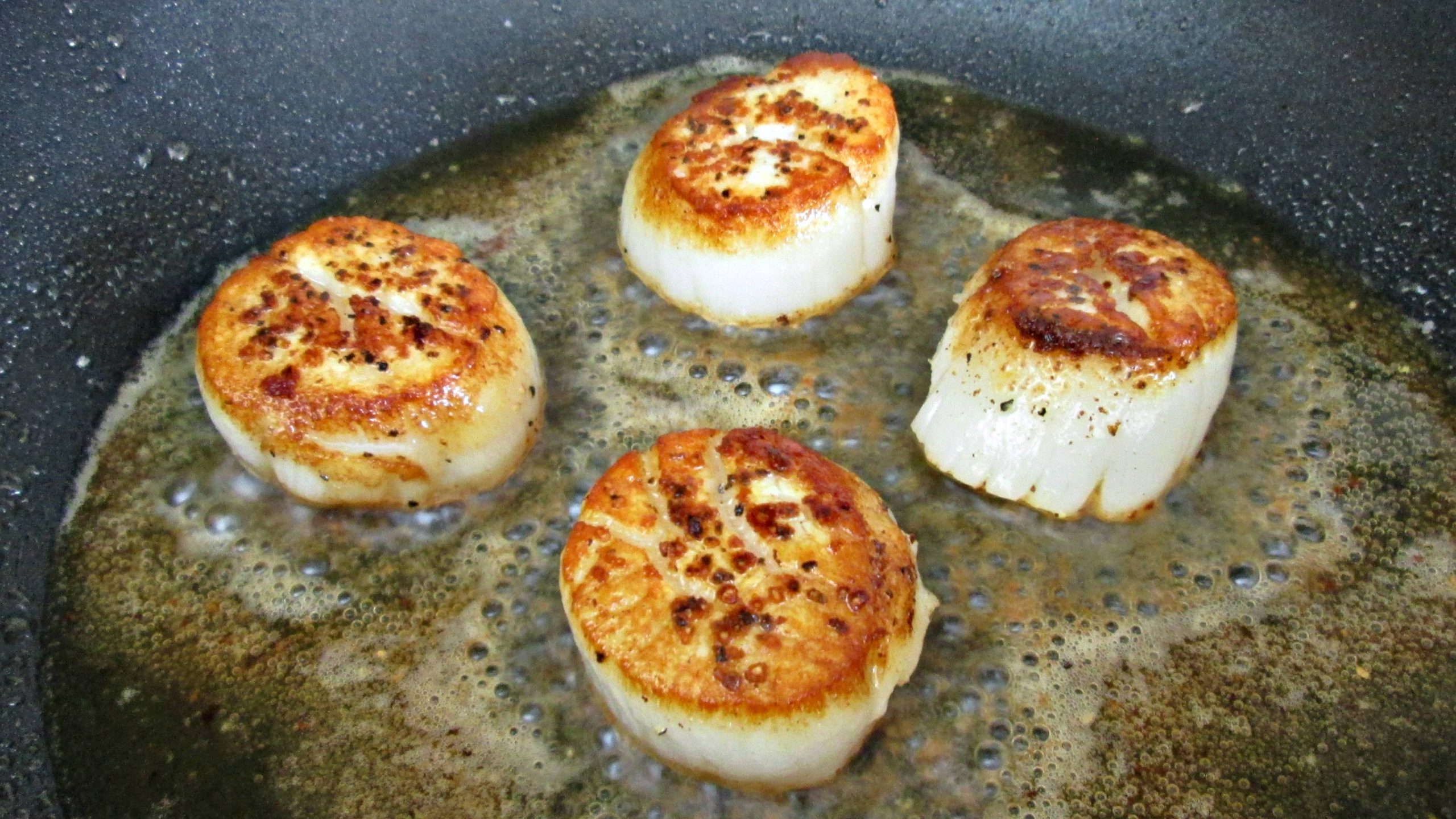 Sea Scallops